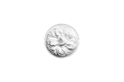 Deckenrosette Ornament 18x18cm Gips - ORR23