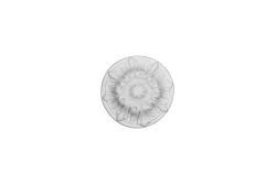 Deckenrosette Ornament 14x14cm Gips - ORR26